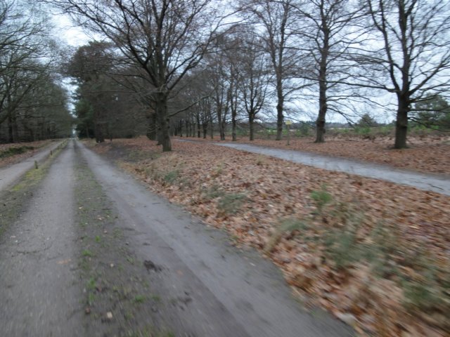 NWK 019.jpg
